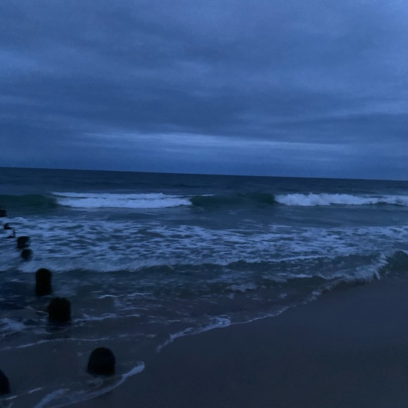 Meet your Posher, Tori - Picture 1 of 1